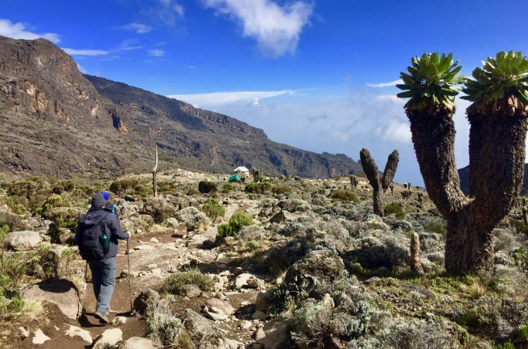 7-Day Kilimanjaro Hikking Via Rongai Route